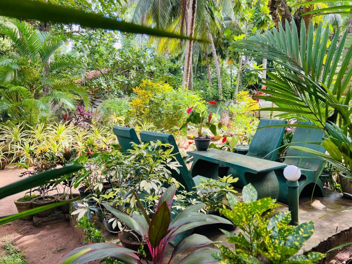 Sigiri Budget Homestay Sigiriya Eksteriør billede