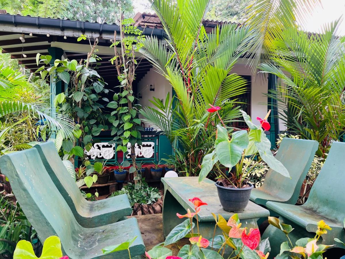 Sigiri Budget Homestay Sigiriya Eksteriør billede