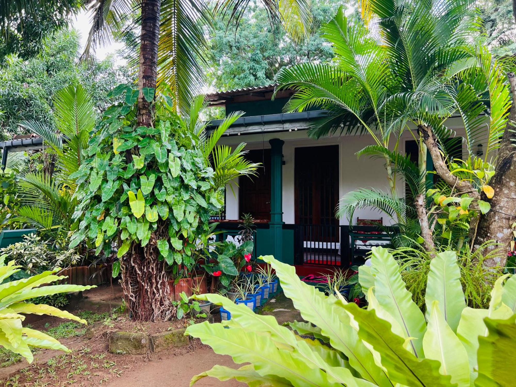 Sigiri Budget Homestay Sigiriya Eksteriør billede