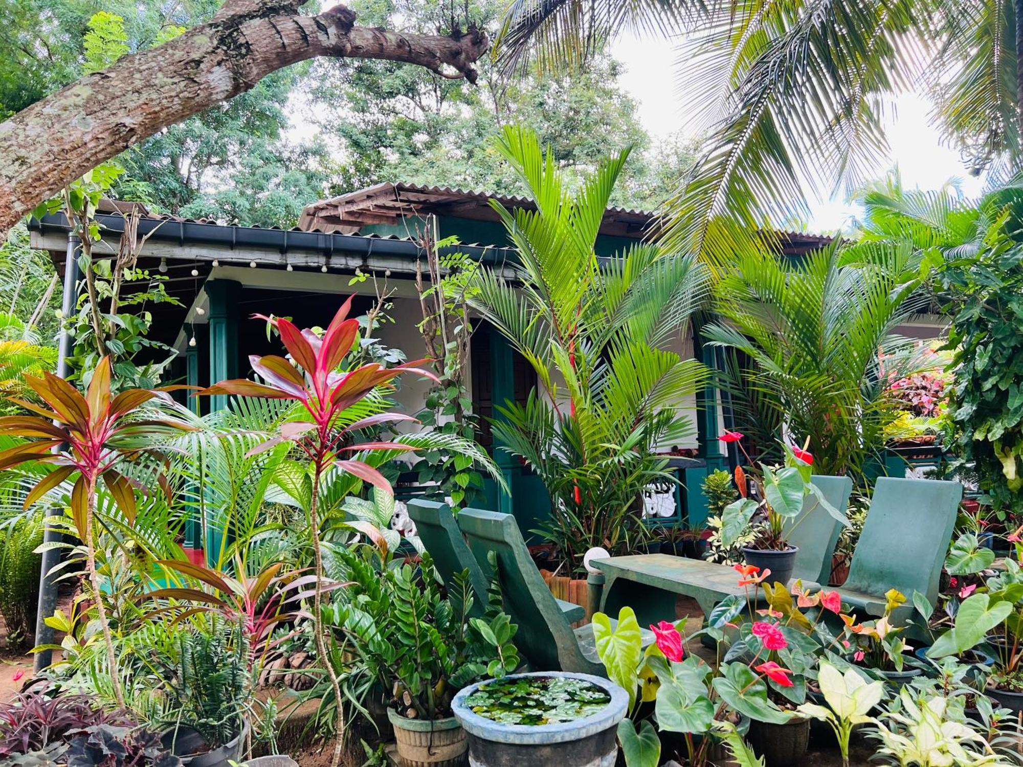 Sigiri Budget Homestay Sigiriya Eksteriør billede
